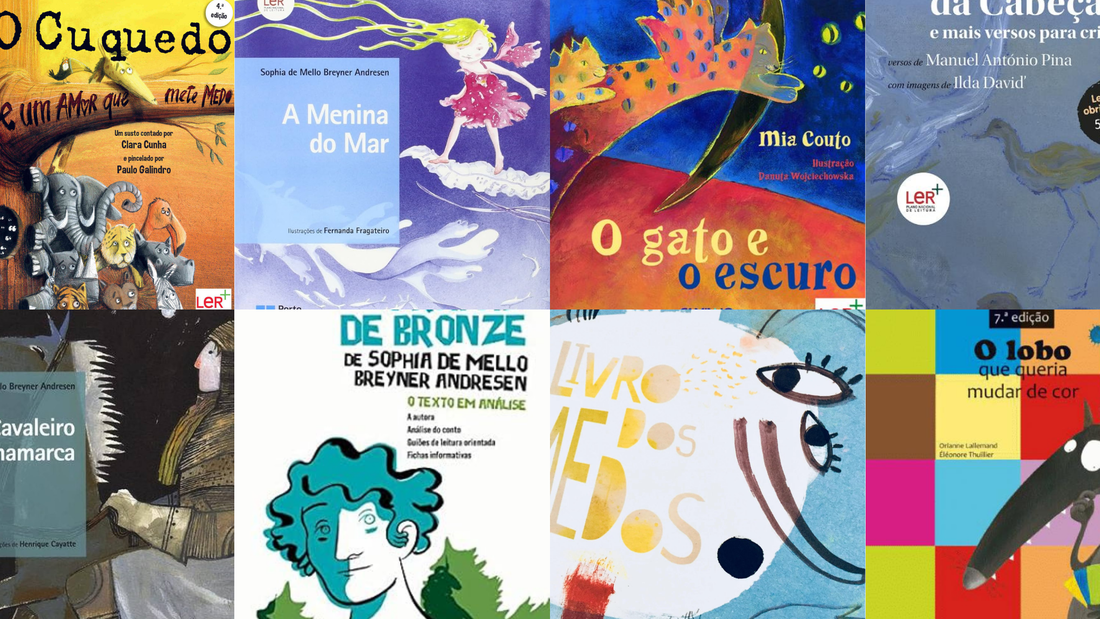 Top 8 European Portuguese Book Recommendations